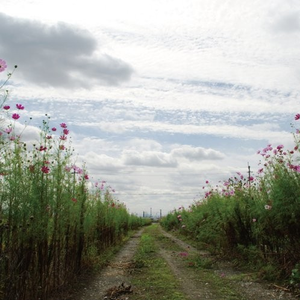 国产激情一区二区三区
